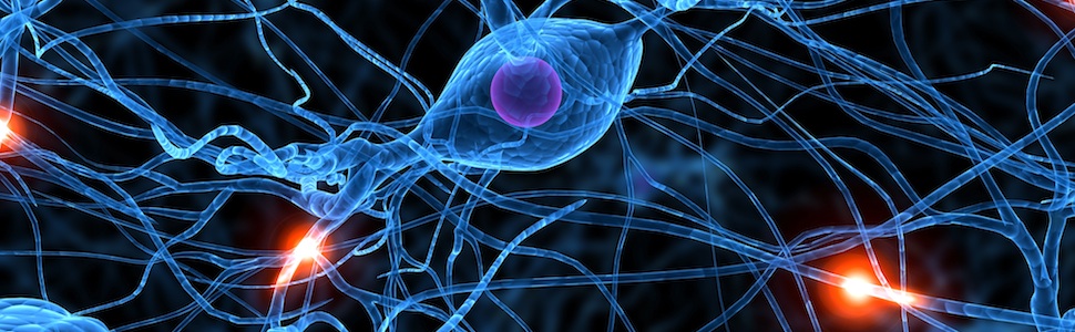Vědci 1. LF UK našli veselé a smutné neurony u člověka