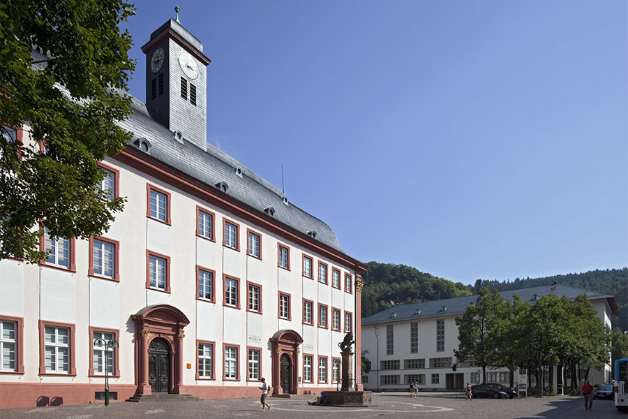 Heidelberg Univesity